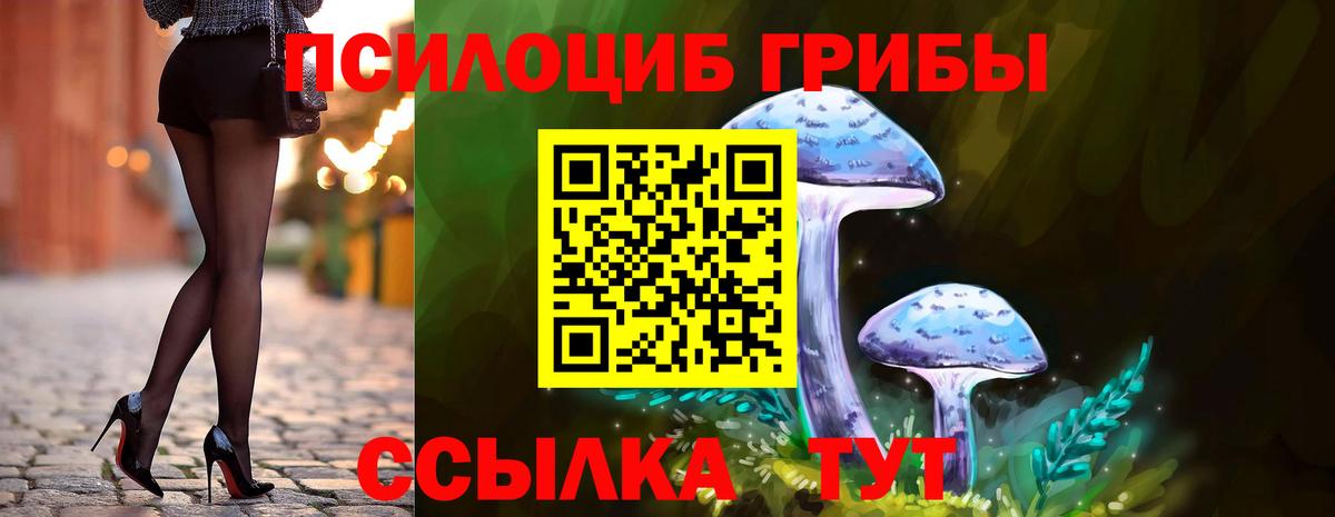 Псилоцибиновые грибы MAGIC MUSHROOMS  Псилоцибиновые грибы прущие грибы  Вход с VPN  купить  сайты  Элиста 